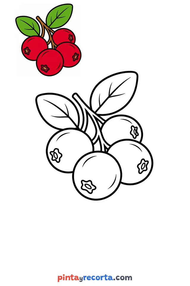 Cranberry coloring page with a small color guide, easy level