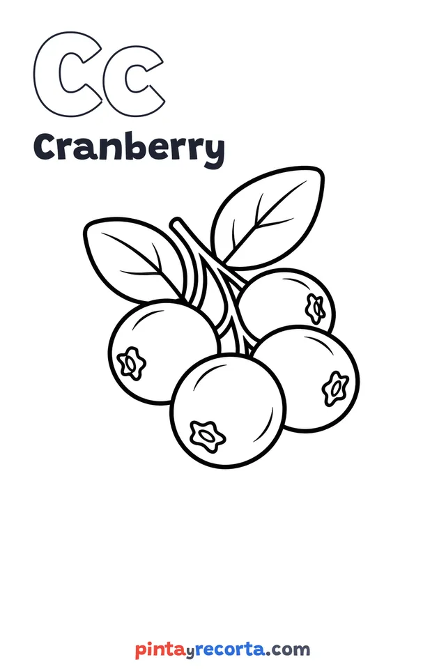 Cranberry coloring page with the letter Cc and the word Cranberry, easy level