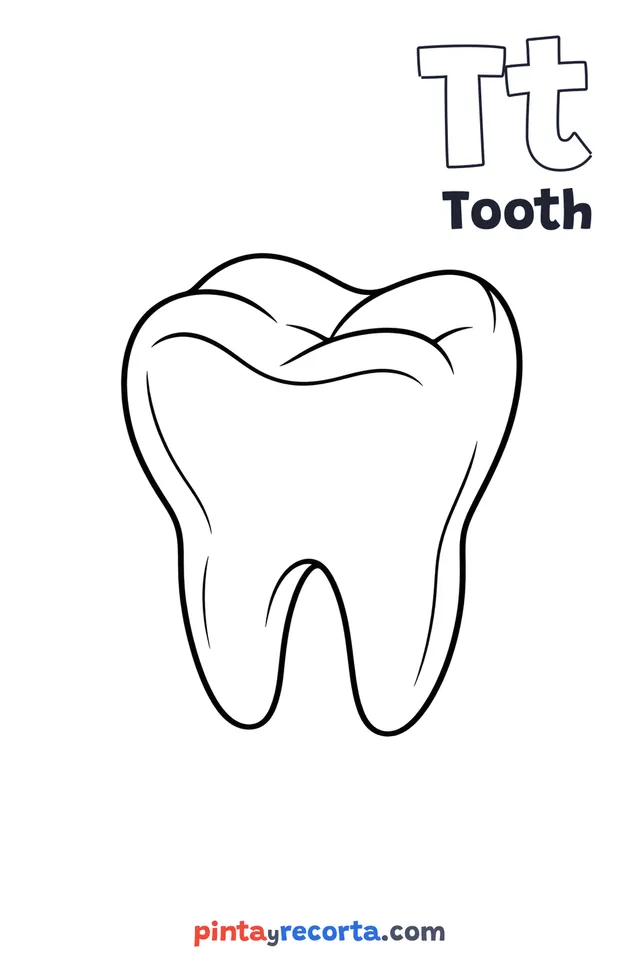 Tooth coloring page with the letter Tt and the word Tooth, easy level