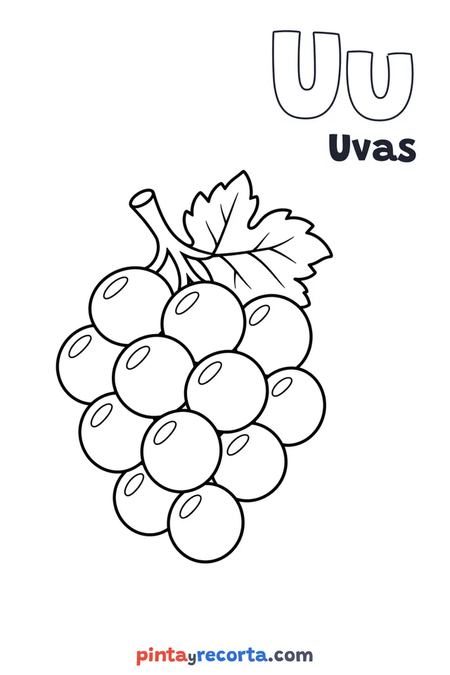 Dibujo de uvas para colorear con la letra Uu y la palabra Uvas, nivel básico