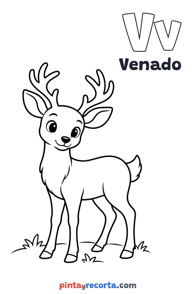 Dibujo de venado para colorear con la letra Vv y la palabra Venado, nivel básico