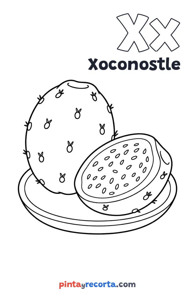 Dibujo de xoconostle para colorear con la letra Xx y la palabra Xoconostle, nivel básico