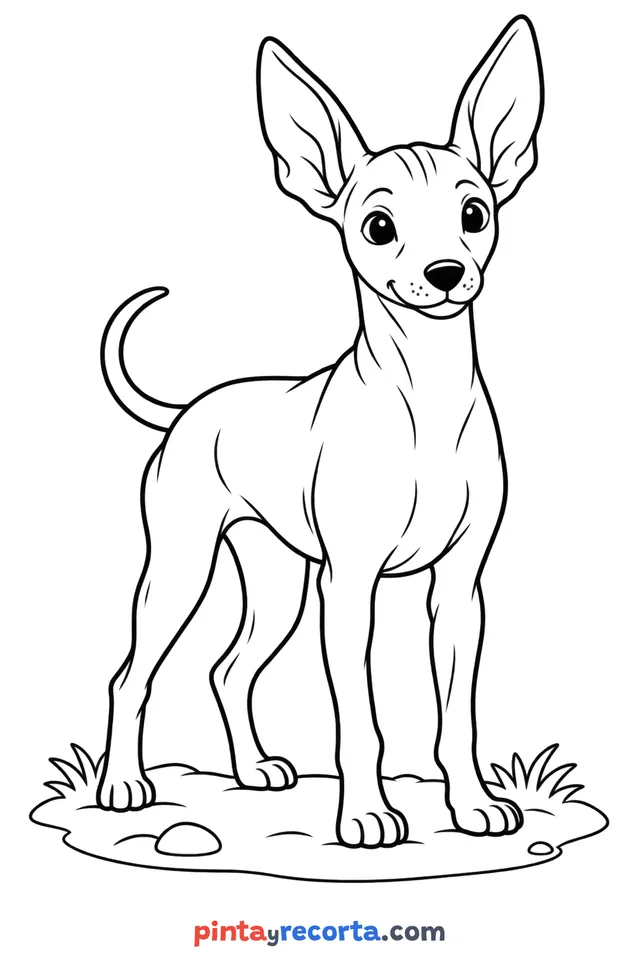 Dibujo de xoloitzcuintle para colorear de cuerpo completo en pose tranquila, nivel básico con trazos gruesos y áreas grandes