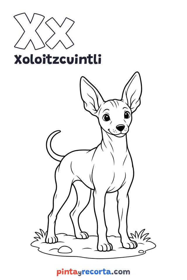 Xoloitzcuintli coloring page with the letter Xx and the word Xoloitzcuintli, easy level